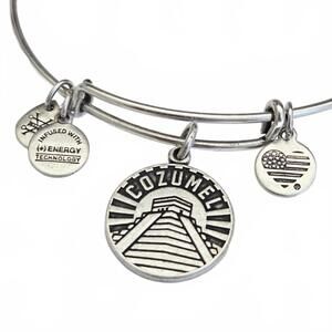 Alex and Ani Cozumel Mayan 2019 Silver Tone Charm Bangle Bracelet